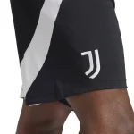 Official 6 Collection - Juventus FC Gear