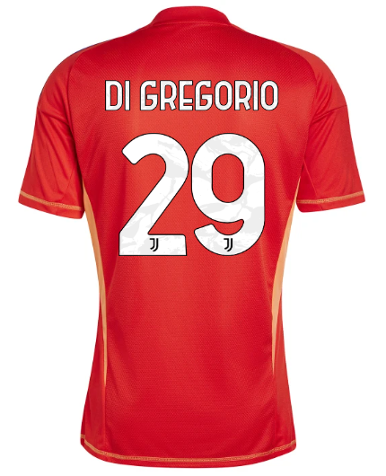 Official JUVENTUS GOALKEEPER JERSEY 202425 – 29 – DI GREGORIO Collection - Juventus FC Gear