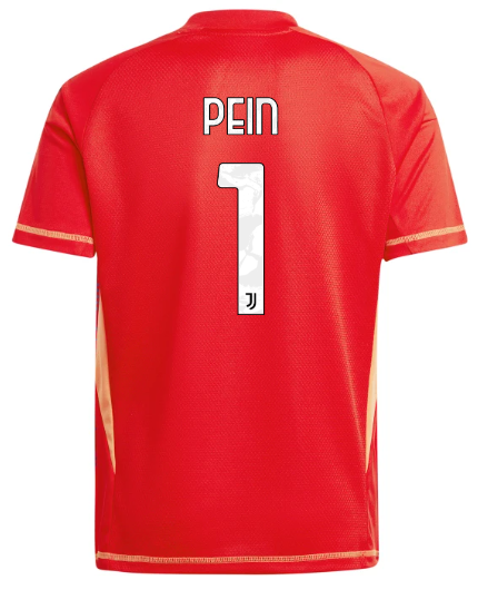 Official JUVENTUS GOALKEEPER JERSEY 202425 – KIDS – 1 – PERIN Collection - Juventus FC Gear