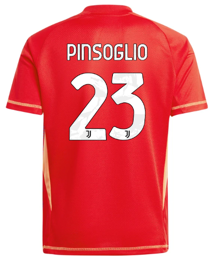 Official JUVENTUS GOALKEEPER JERSEY 202425 – KIDS – 23 – PINSOGLIO Collection - Juventus FC Gear