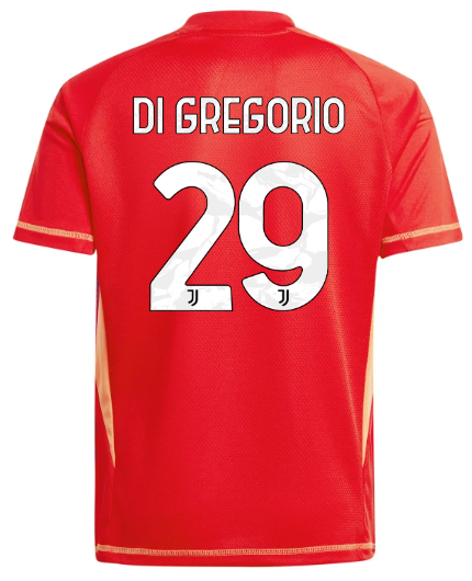 Official JUVENTUS GOALKEEPER JERSEY 202425 – KIDS – 29 – DI GREGORIO Collection - Juventus FC Gear